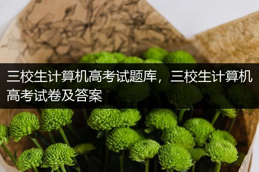 三校生计算机高考试题库，三校生计算机高考试卷及答案