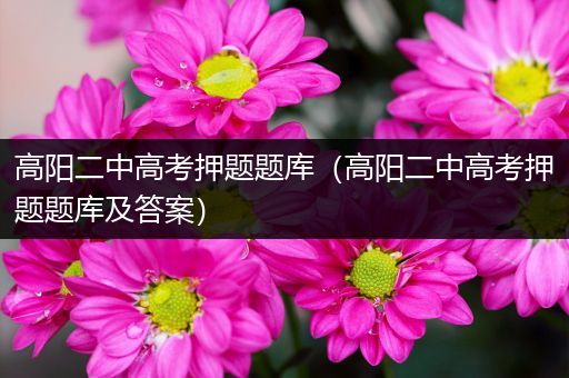 高阳二中高考押题题库（高阳二中高考押题题库及答案）