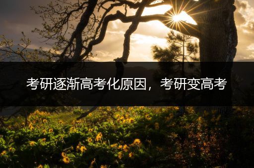 考研逐渐高考化原因，考研变高考