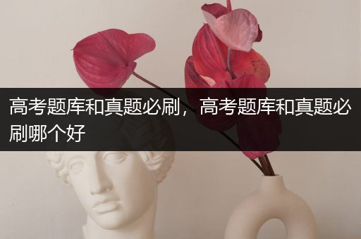 高考题库和真题必刷，高考题库和真题必刷哪个好