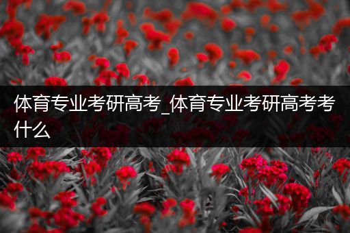 体育专业考研高考_体育专业考研高考考什么