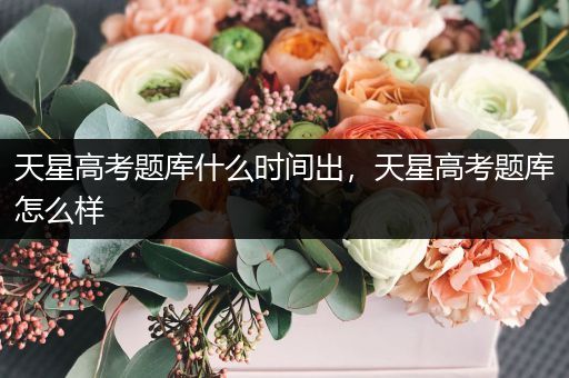 天星高考题库什么时间出，天星高考题库怎么样