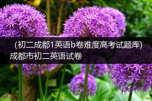 （初二成都1英语b卷难度高考试题库)成都市初二英语试卷