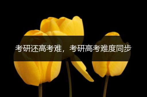 考研还高考难，考研高考难度同步