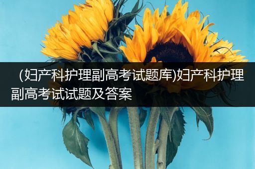 （妇产科护理副高考试题库)妇产科护理副高考试试题及答案
