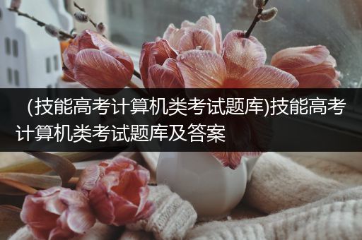 （技能高考计算机类考试题库)技能高考计算机类考试题库及答案