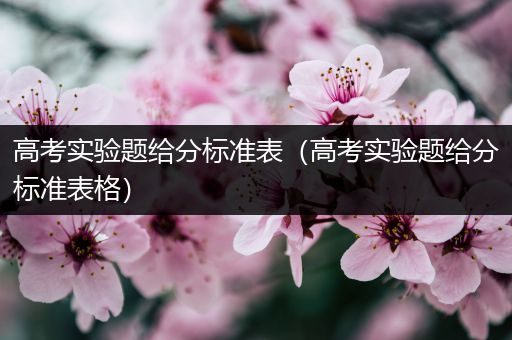 高考实验题给分标准表（高考实验题给分标准表格）