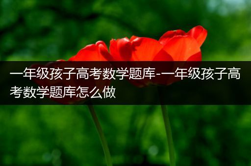 一年级孩子高考数学题库-一年级孩子高考数学题库怎么做