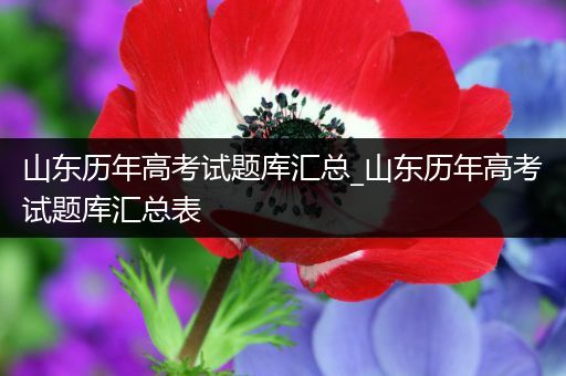 山东历年高考试题库汇总_山东历年高考试题库汇总表