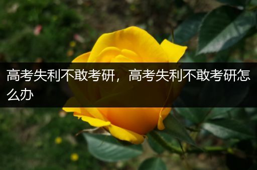 高考失利不敢考研，高考失利不敢考研怎么办
