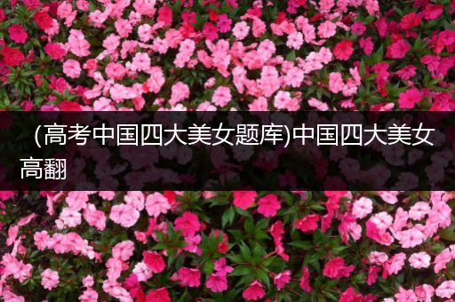 （高考中国四大美女题库)中国四大美女高翻