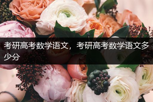 考研高考数学语文，考研高考数学语文多少分