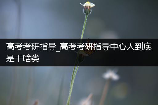高考考研指导_高考考研指导中心人到底是干啥类