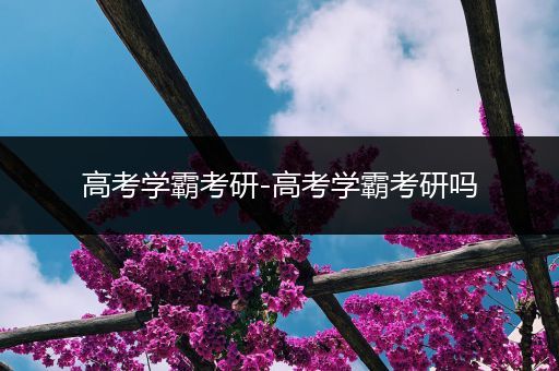 高考学霸考研-高考学霸考研吗