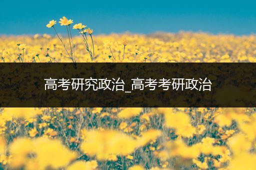 高考研究政治_高考考研政治