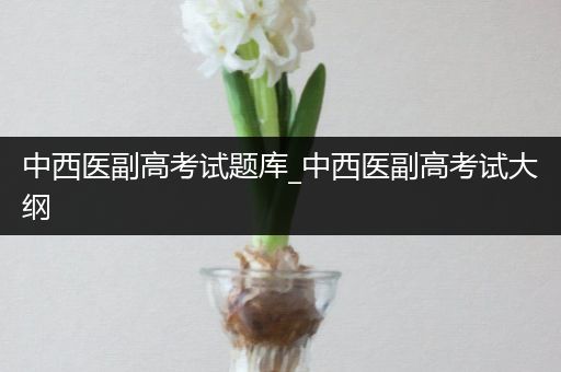 中西医副高考试题库_中西医副高考试大纲