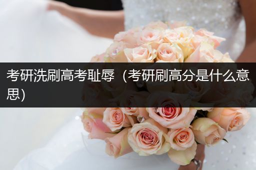 考研洗刷高考耻辱（考研刷高分是什么意思）