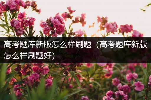 高考题库新版怎么样刷题（高考题库新版怎么样刷题好）