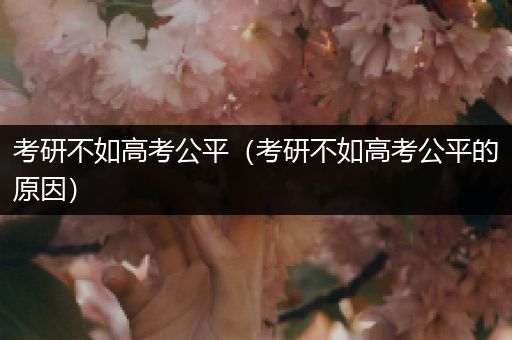 考研不如高考公平（考研不如高考公平的原因）