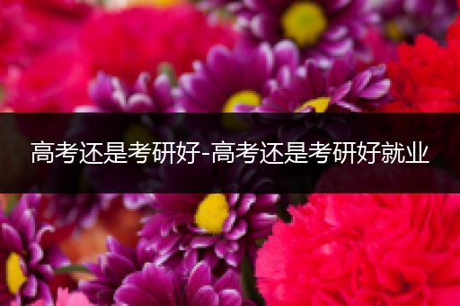 高考还是考研好-高考还是考研好就业