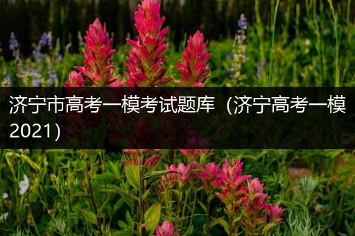 济宁市高考一模考试题库（济宁高考一模2021）
