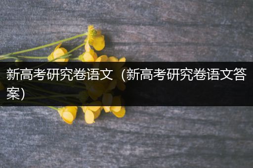 新高考研究卷语文（新高考研究卷语文答案）