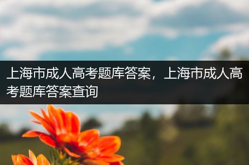 上海市成人高考题库答案，上海市成人高考题库答案查询