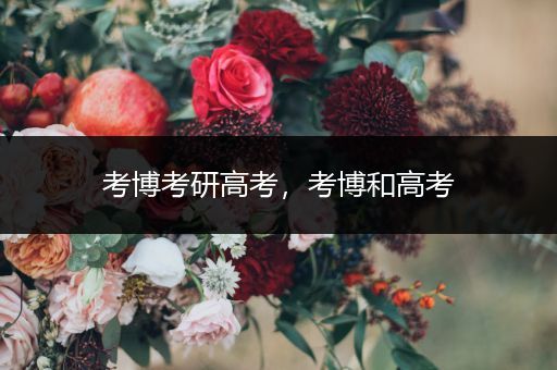考博考研高考，考博和高考
