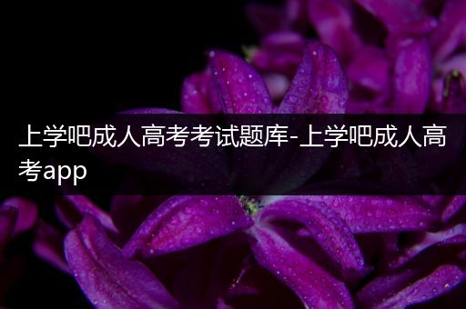 上学吧成人高考考试题库-上学吧成人高考app