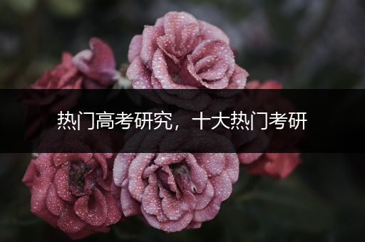 热门高考研究，十大热门考研