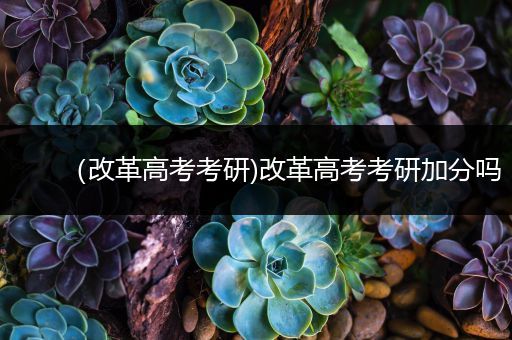 （改革高考考研)改革高考考研加分吗