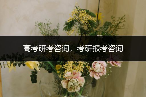 高考研考咨询，考研报考咨询