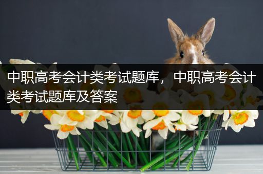 中职高考会计类考试题库，中职高考会计类考试题库及答案