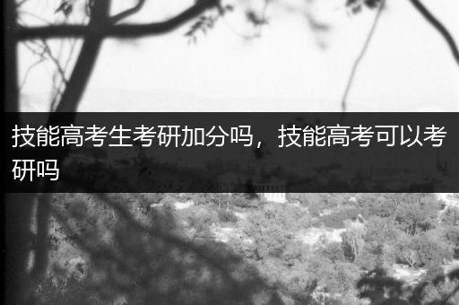 技能高考生考研加分吗，技能高考可以考研吗