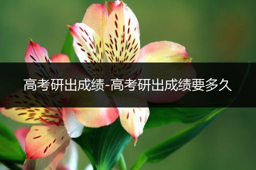 高考研出成绩-高考研出成绩要多久