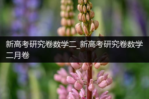 新高考研究卷数学二_新高考研究卷数学二月卷