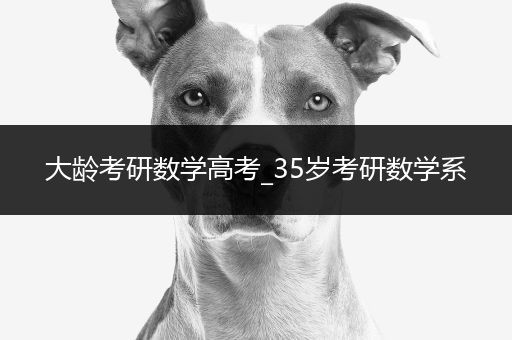 大龄考研数学高考_35岁考研数学系