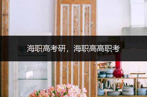 海职高考研，海职高高职考