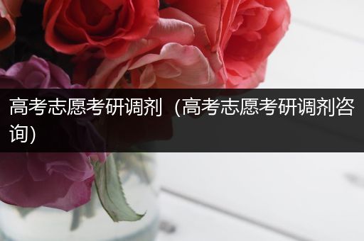 高考志愿考研调剂（高考志愿考研调剂咨询）