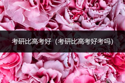 考研比高考好（考研比高考好考吗）