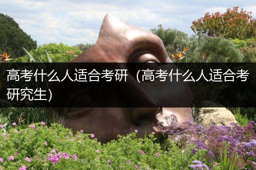 高考什么人适合考研（高考什么人适合考研究生）