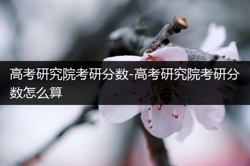 高考研究院考研分数-高考研究院考研分数怎么算