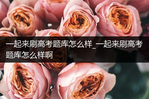 一起来刷高考题库怎么样_一起来刷高考题库怎么样啊