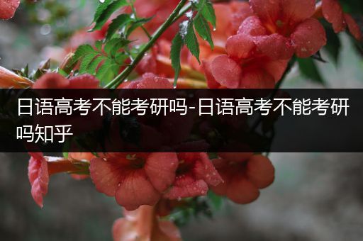 日语高考不能考研吗-日语高考不能考研吗知乎