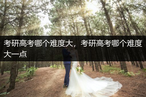 考研高考哪个难度大，考研高考哪个难度大一点