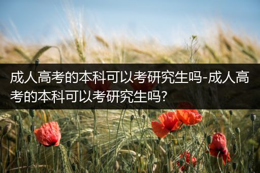 成人高考的本科可以考研究生吗-成人高考的本科可以考研究生吗?