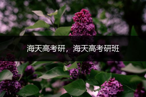 海天高考研，海天高考研班