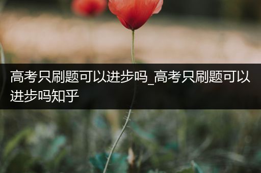 高考只刷题可以进步吗_高考只刷题可以进步吗知乎