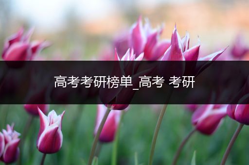 高考考研榜单_高考 考研