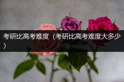 考研比高考难度（考研比高考难度大多少）